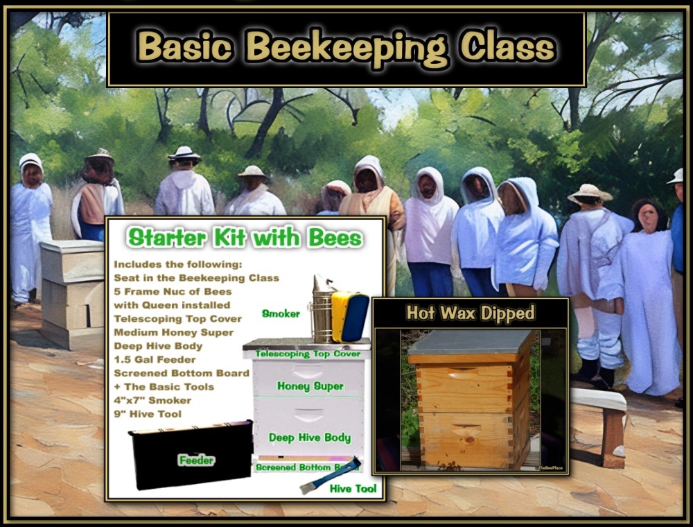 Apiary Starter Kits Image 3