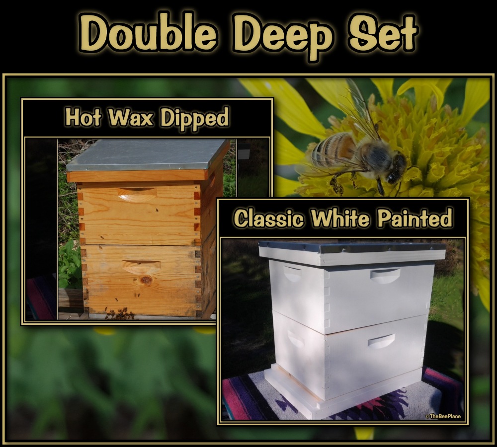 Double Deep Hives Image 2