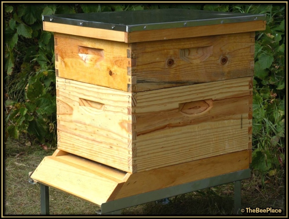 Honey Super Deluxe Image 2