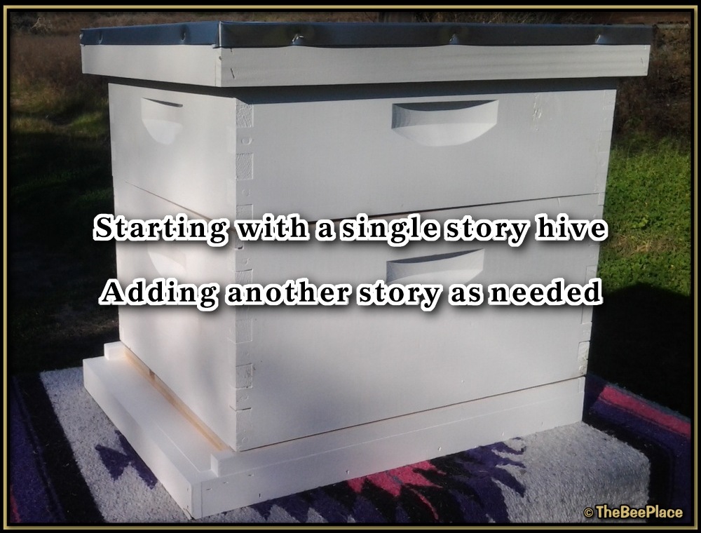 Honey Super Deluxe Image 7