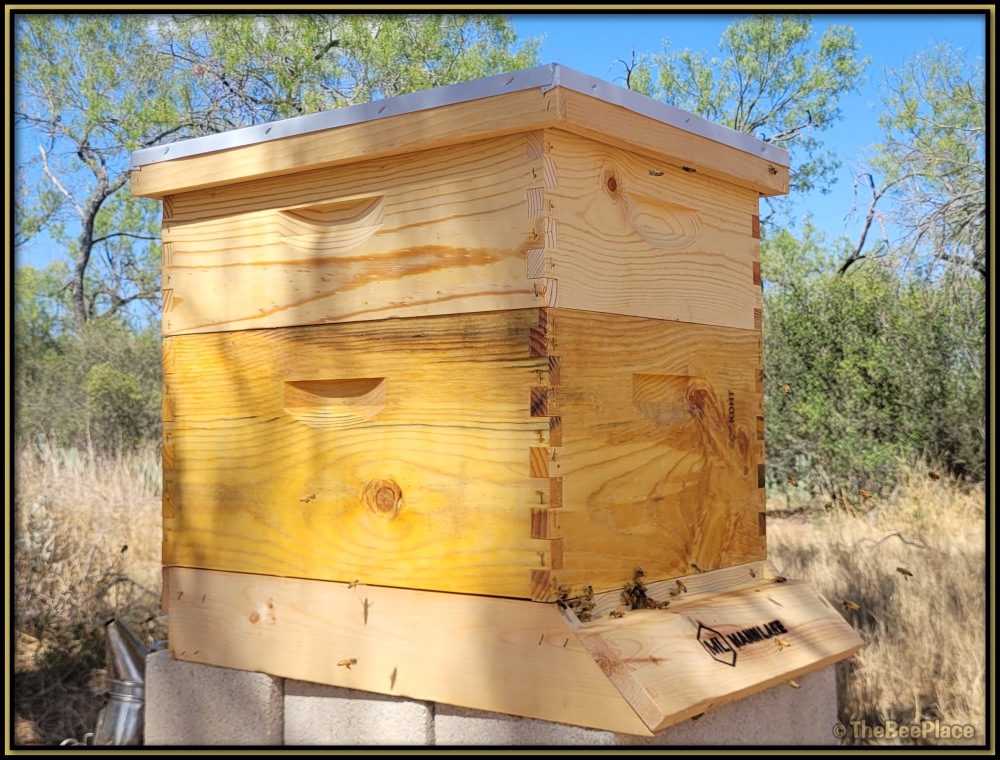 Honey Super Deluxe Image 10