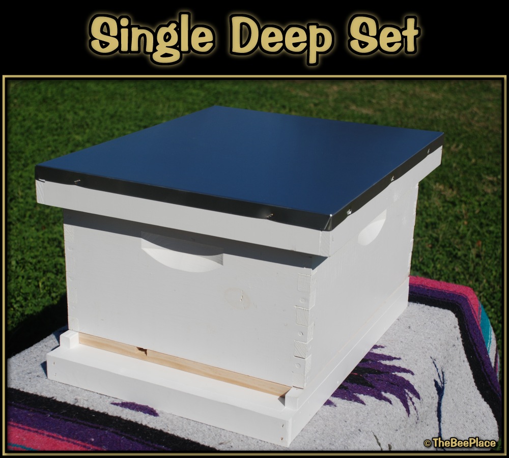 Single Deep Hives Image 1