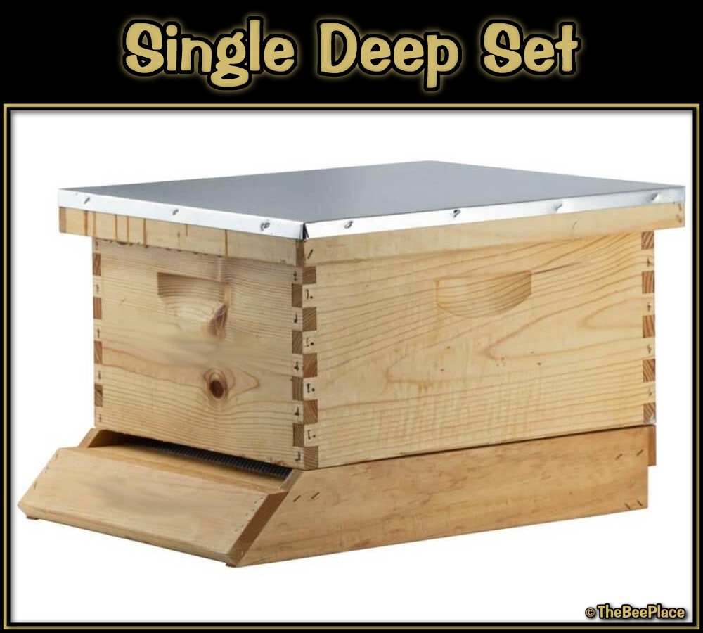Single Deep Hives Image 2