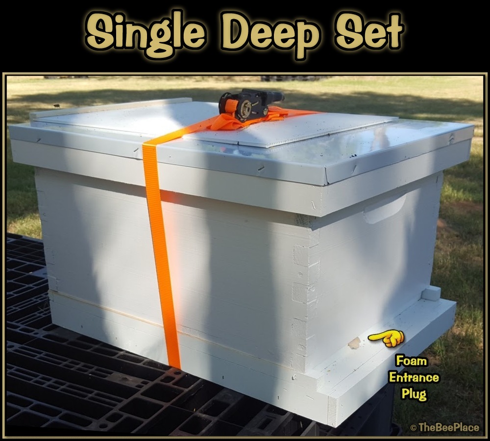 Single Deep Hives Image 8