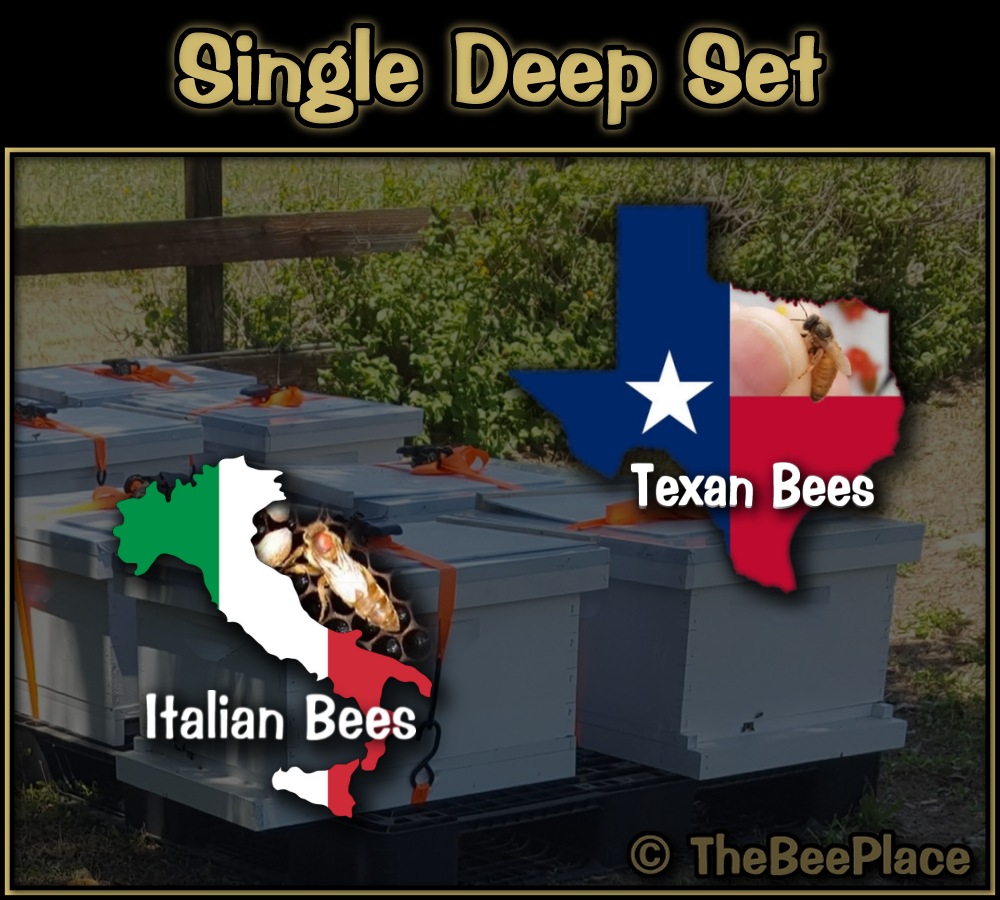 Single Deep Hives Image 9