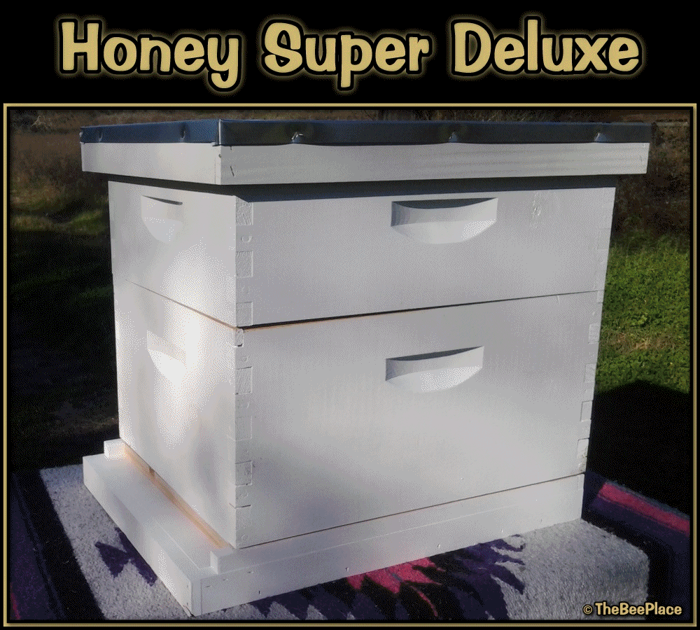 Apiary Starter Kits Image 2