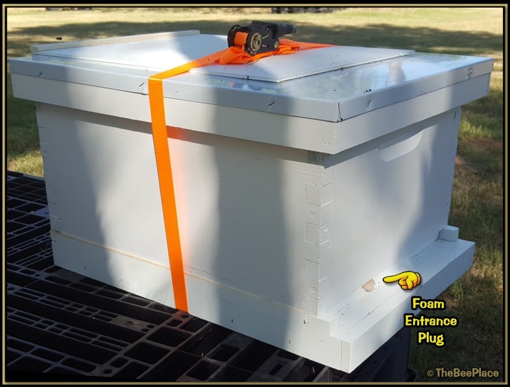 Apiary Starter Kits Image 3