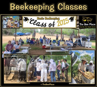 Apiary Starter Kits Image 4