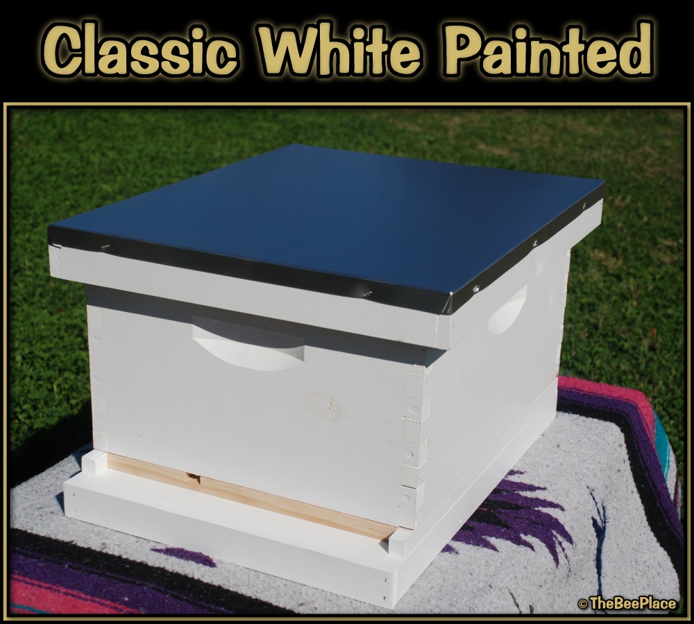 Single Deep Hives Image 3