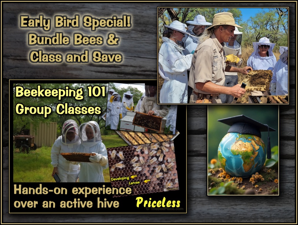 Basic Beekeeping Class Image 2