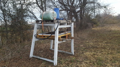 Bees Working Image 4