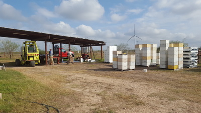 Bees Working Image 11