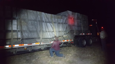 Bees Working Image 19