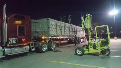 Bees Working Image 24