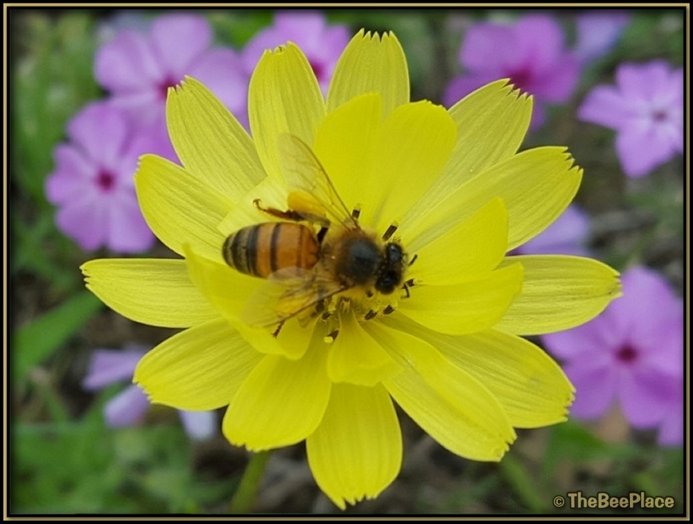 Learning Center Image 4