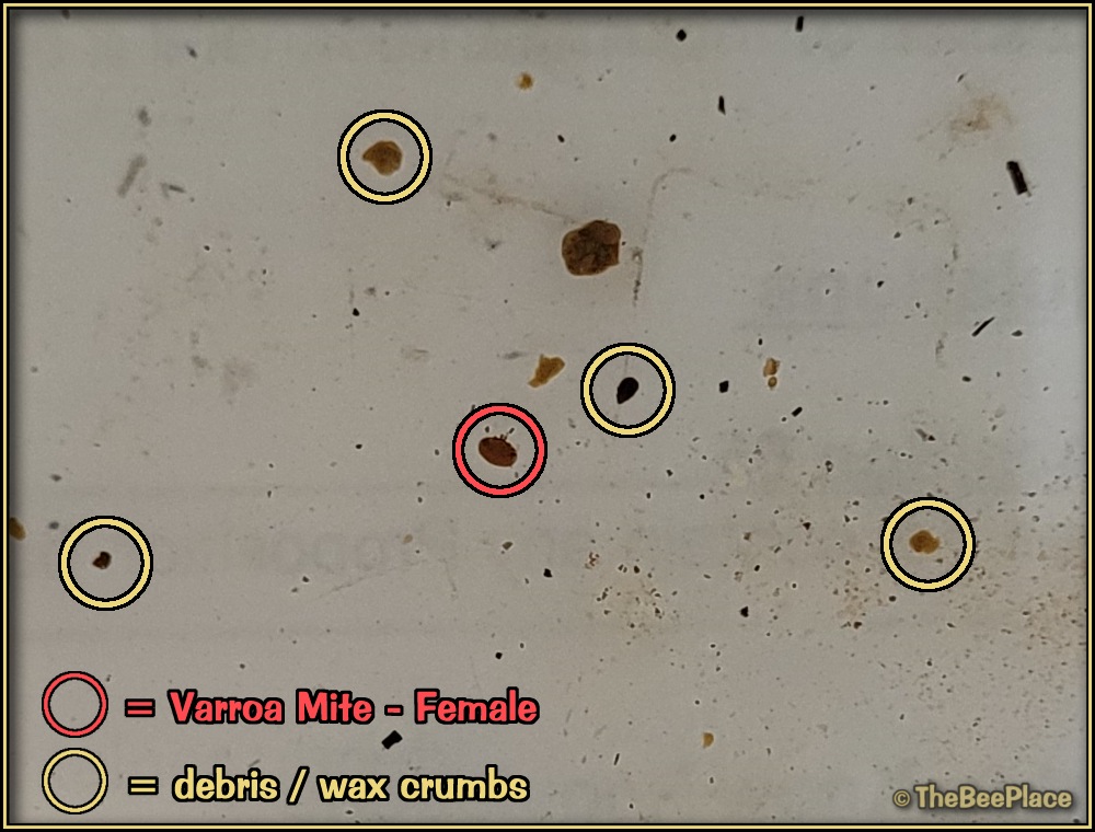 Learning Center Image 6