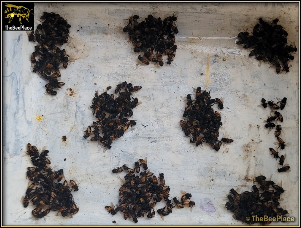 Learning Center Image 7