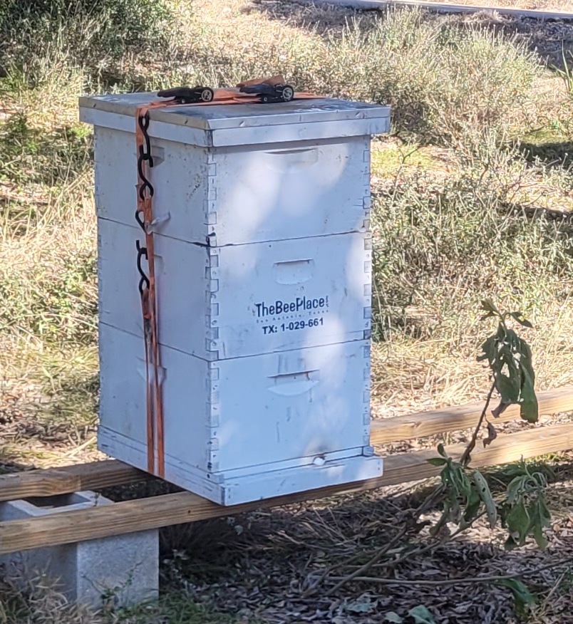 colony-production 03