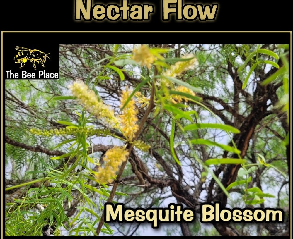nectar-flow 01