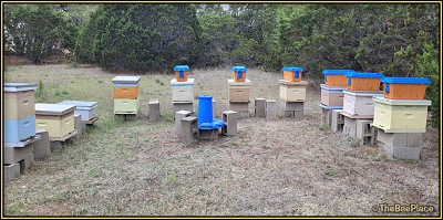 Beehives On Block Stands
