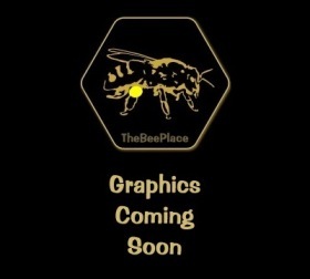 bee-health-and-queen-questions 08