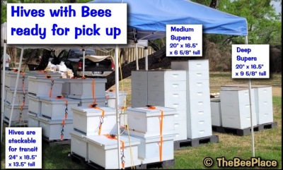 before-you-arrive 04