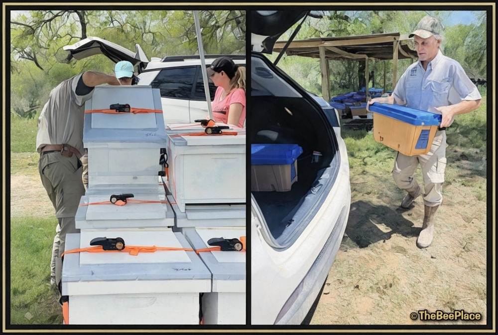 order-pickup-instructions 01