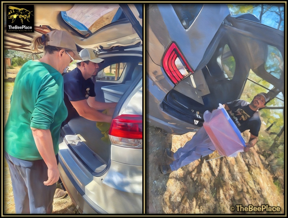 order-pickup-instructions 02