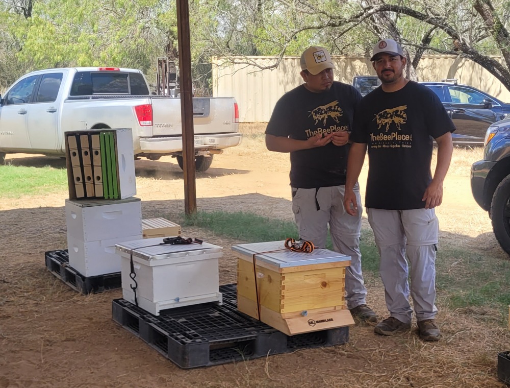 transporting-bees 06