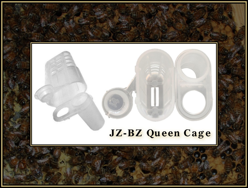 installing-queens 05