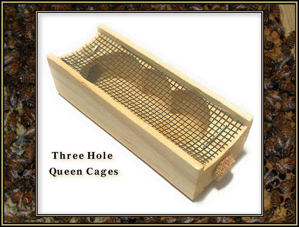 installing-queens 06