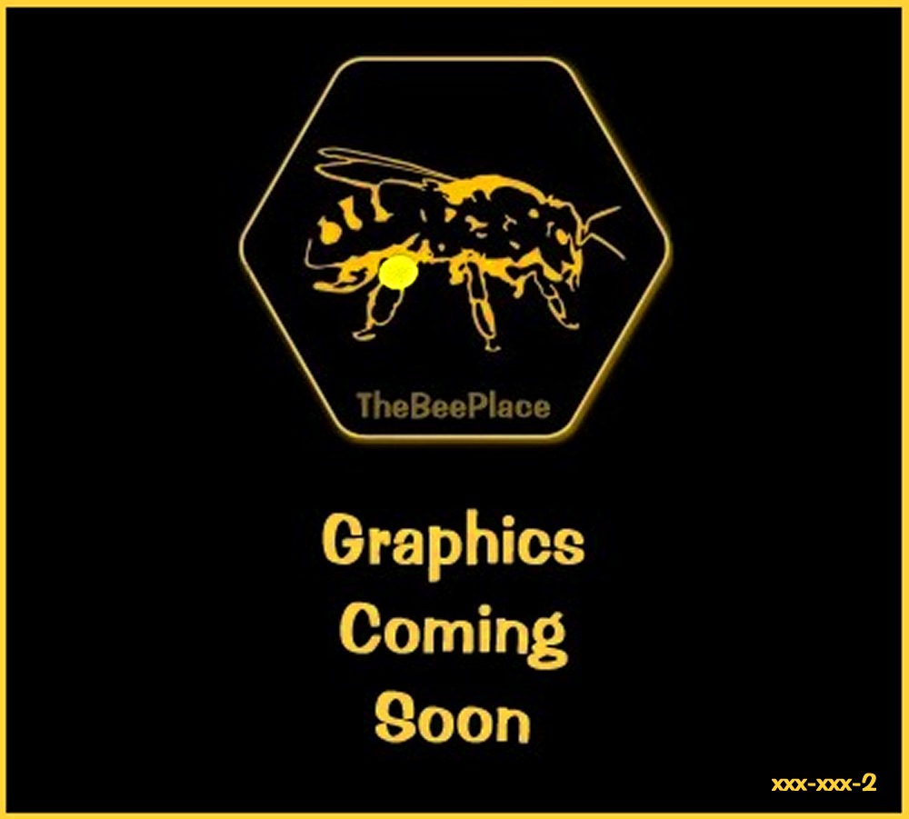 follow-the-bee-place 02