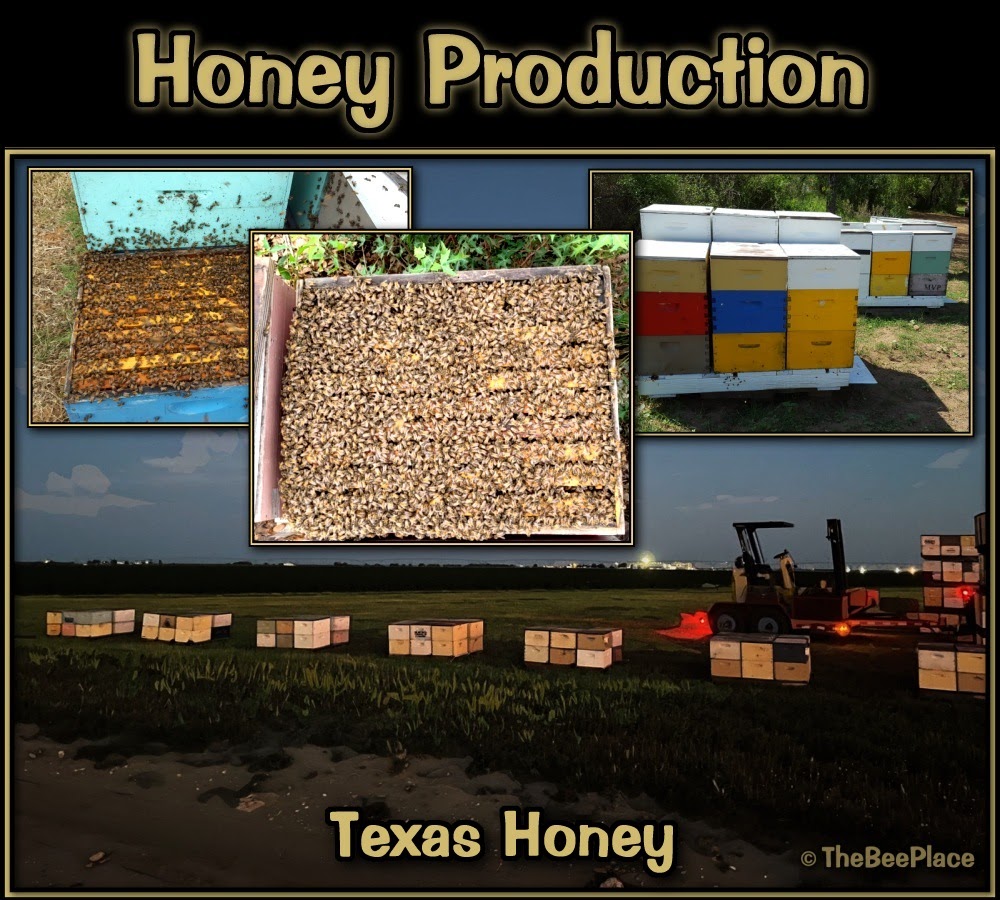 honey-production 01