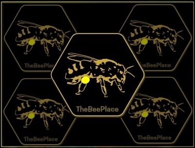 Types Of Bees