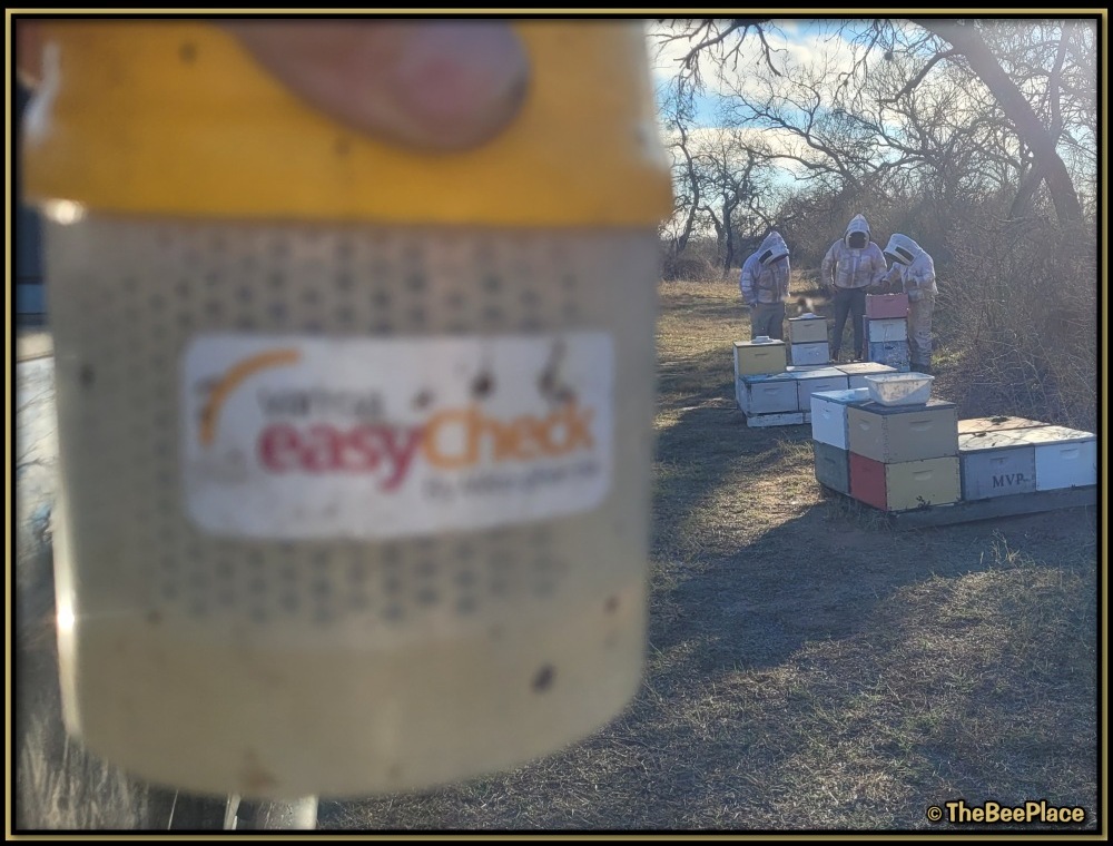 checking-for-mites 01