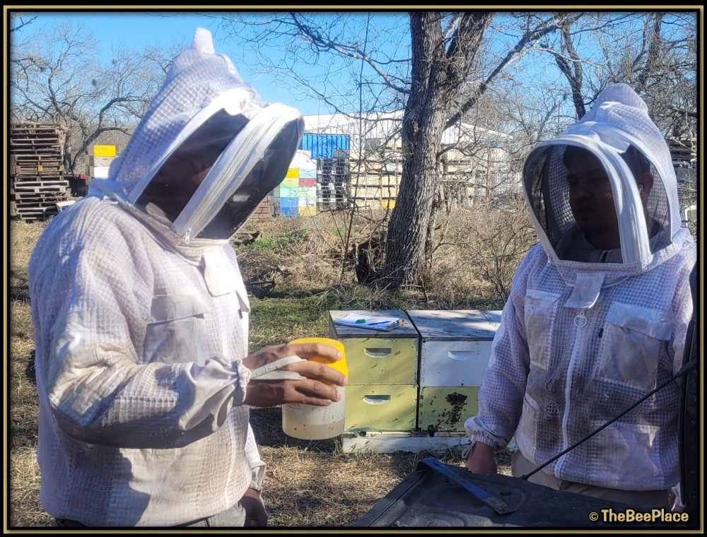 checking-for-mites 02