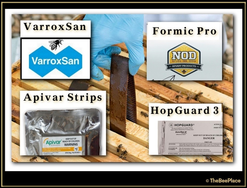 Treating For Mites 03