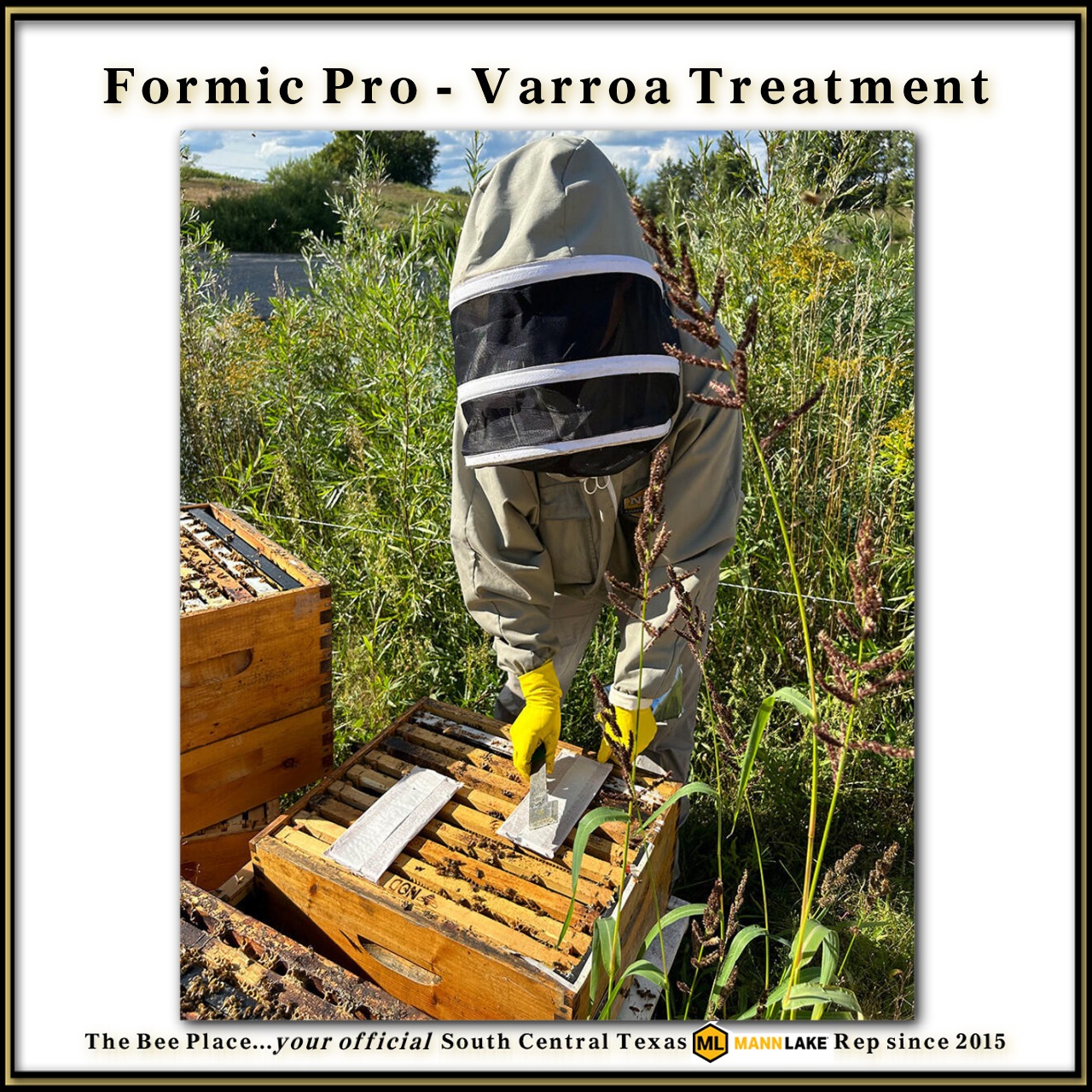 Treating For Mites 06