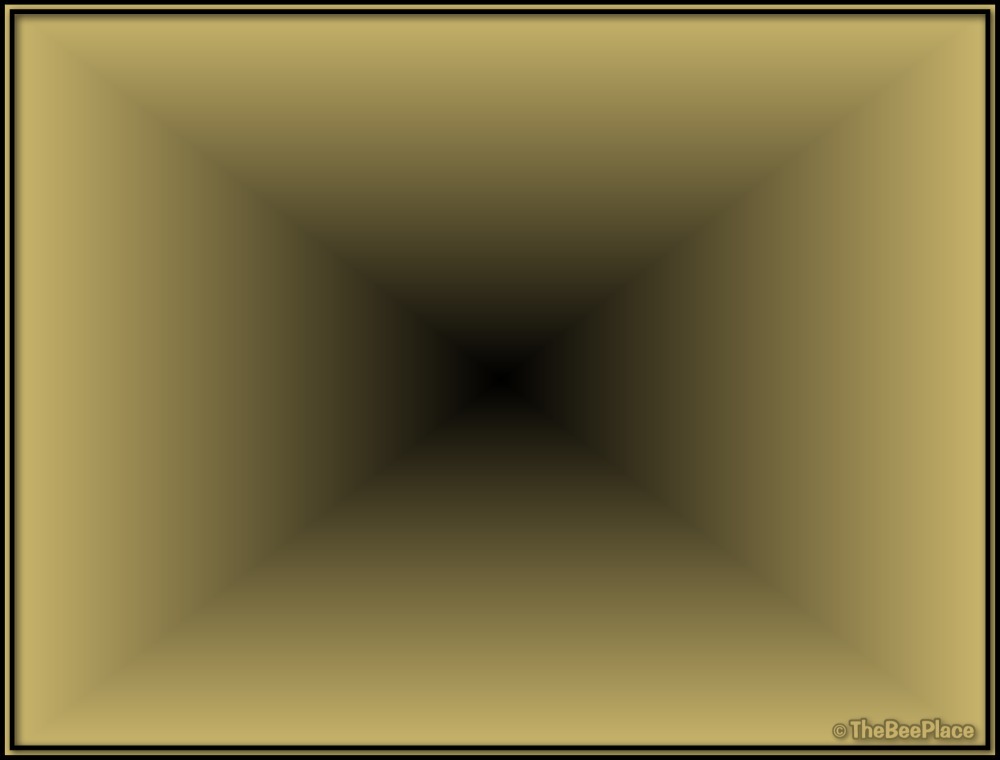 Treating For Mites 09