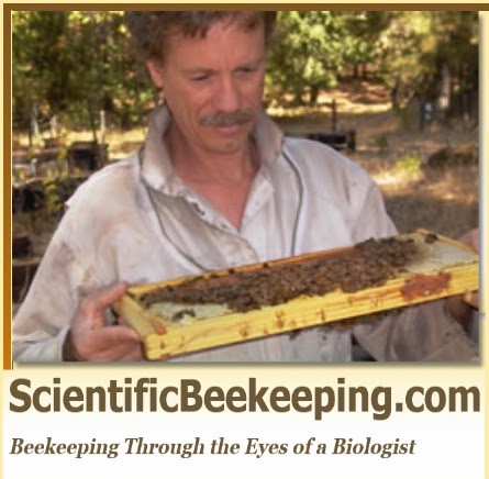 additional-resources 02