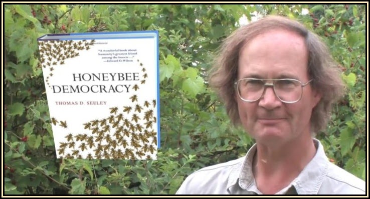 additional-resources 04