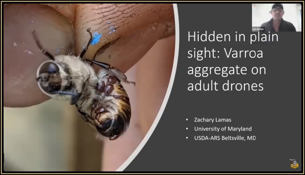 additional-resources 06