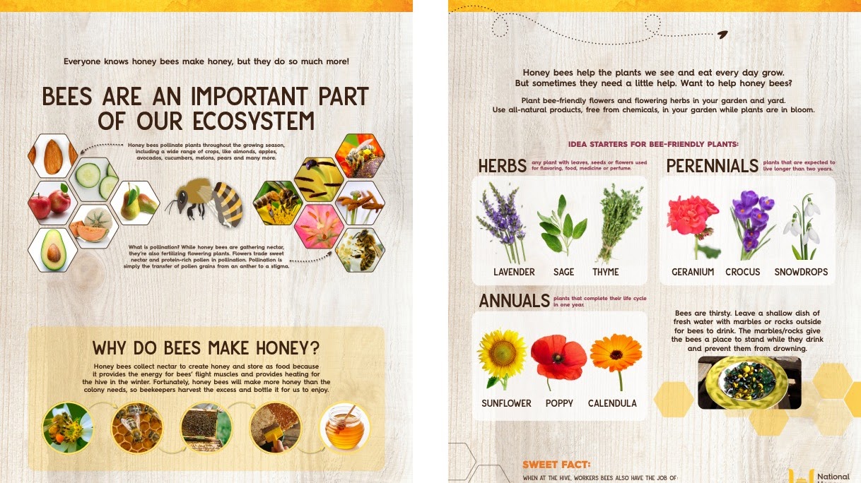 additional-resources 07