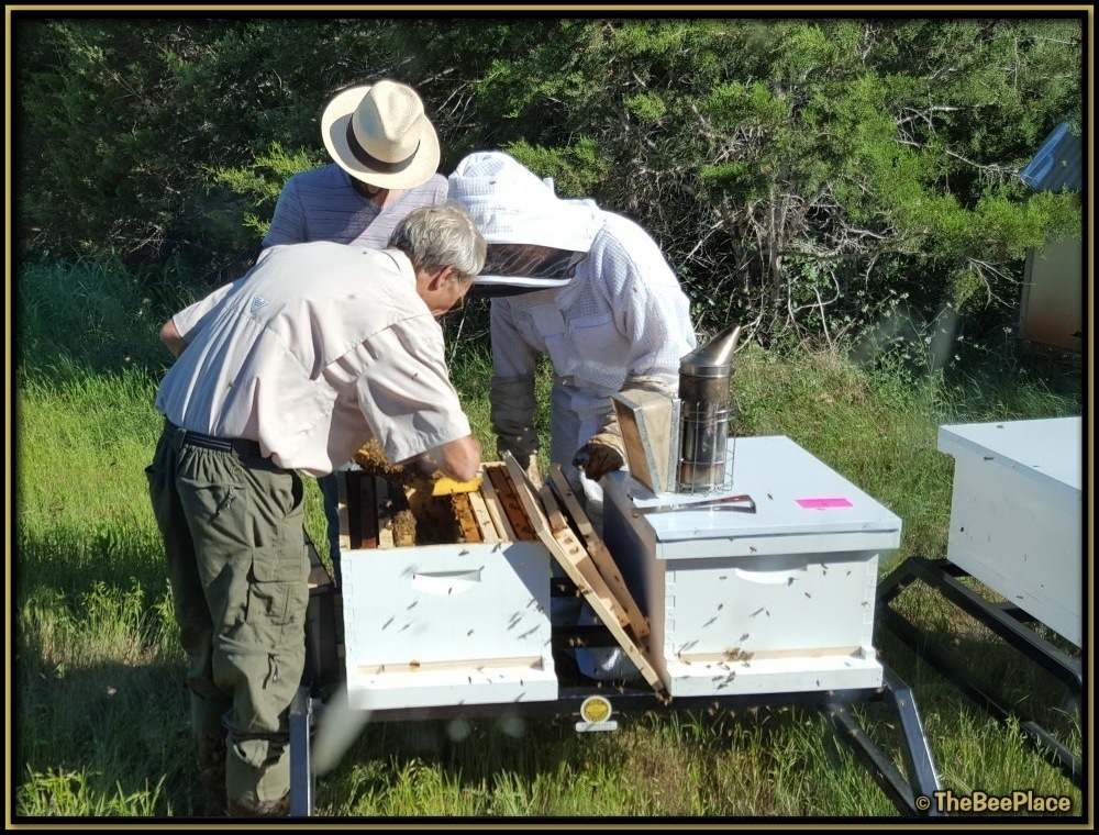 Beekeeper Safety 02