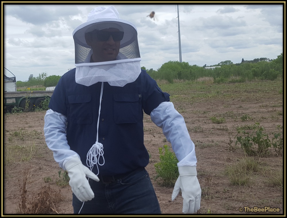 Beekeeper Safety 08