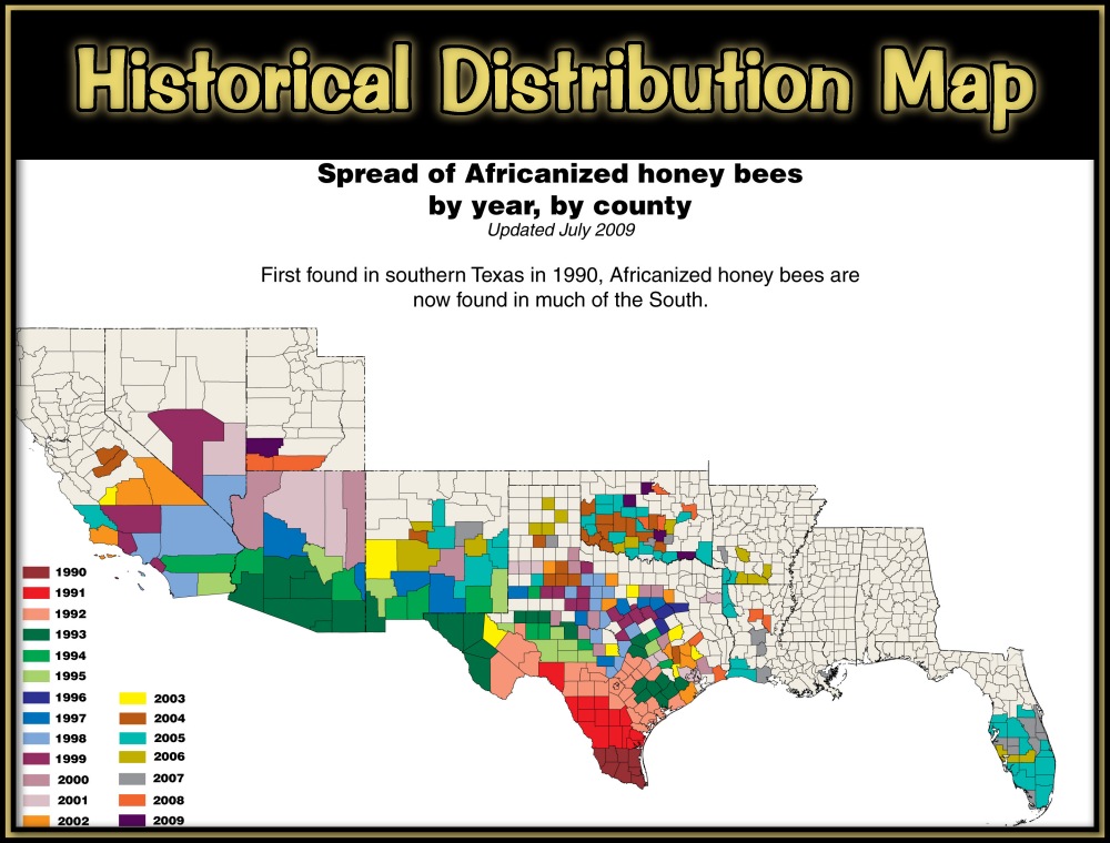 Historical map showing spread of Africanized honey bees across the southern United States by year and county