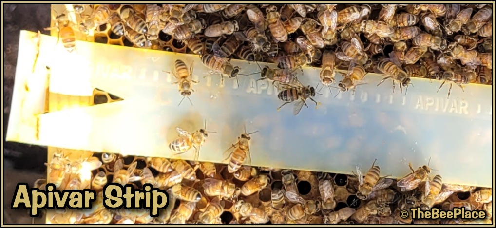 treating-for-mites 02