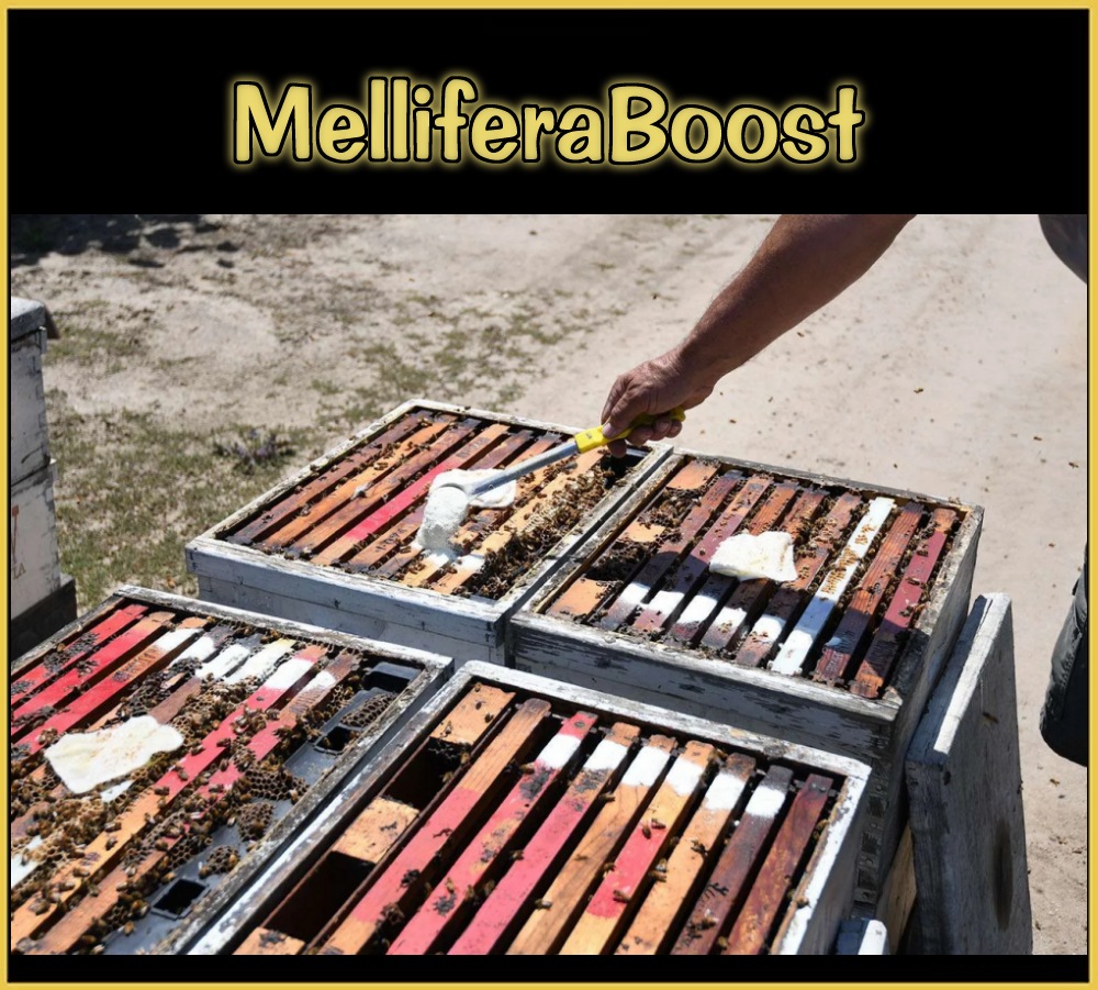 Melliferaboost Image 2