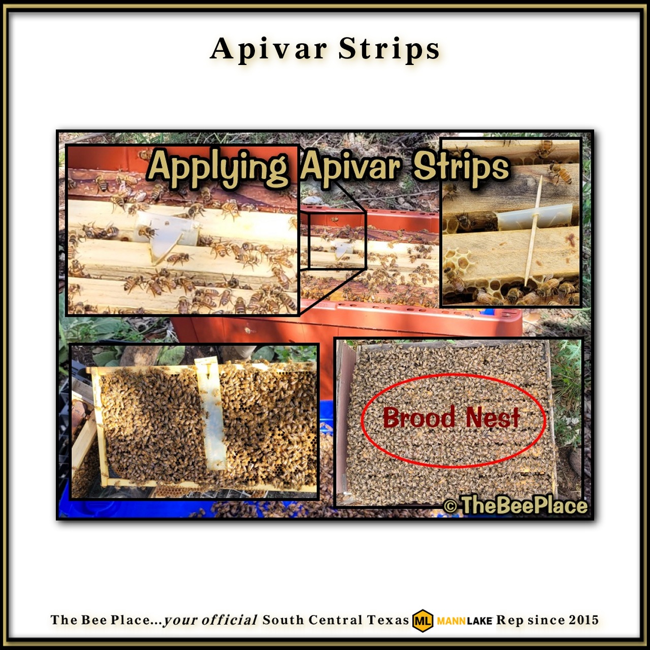 Apivar Strips Image 2