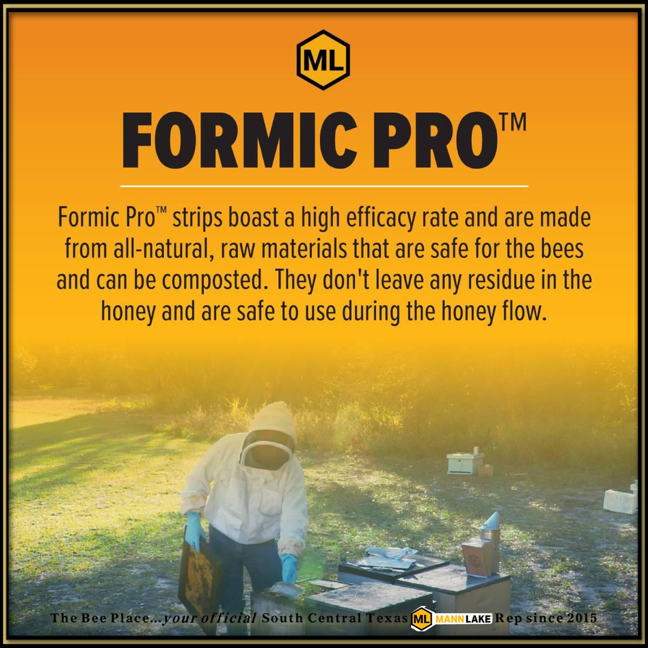 Formic Pro Image 4